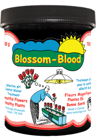 BLOSSOM BLOOD