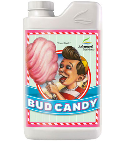 Bud Candy 1L