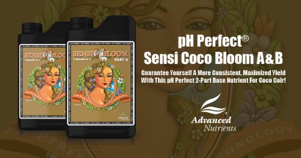 pH Perfect Sensi Coco Bloom Part A＆B 4L