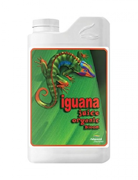 Iguana Juice Organic Bloom