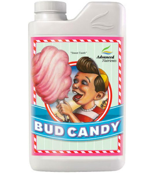 Bud Candy 10ℓ