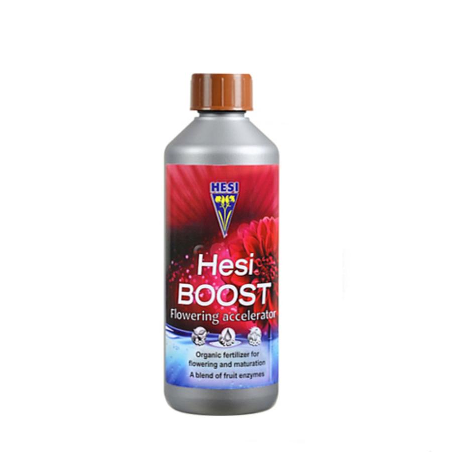 HESI Boost