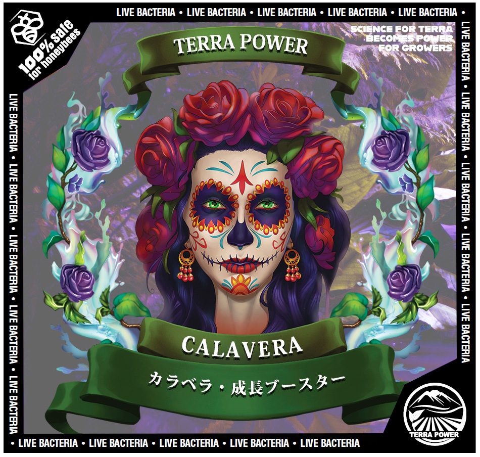 【TERRA POWER】 LA CALAVERA (ラ・カラベラ)