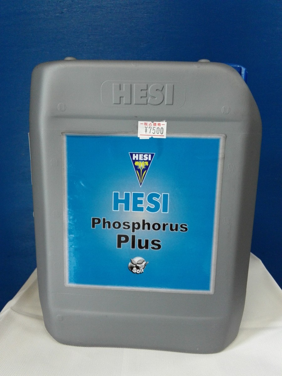 HESI Phosphoros  Plus