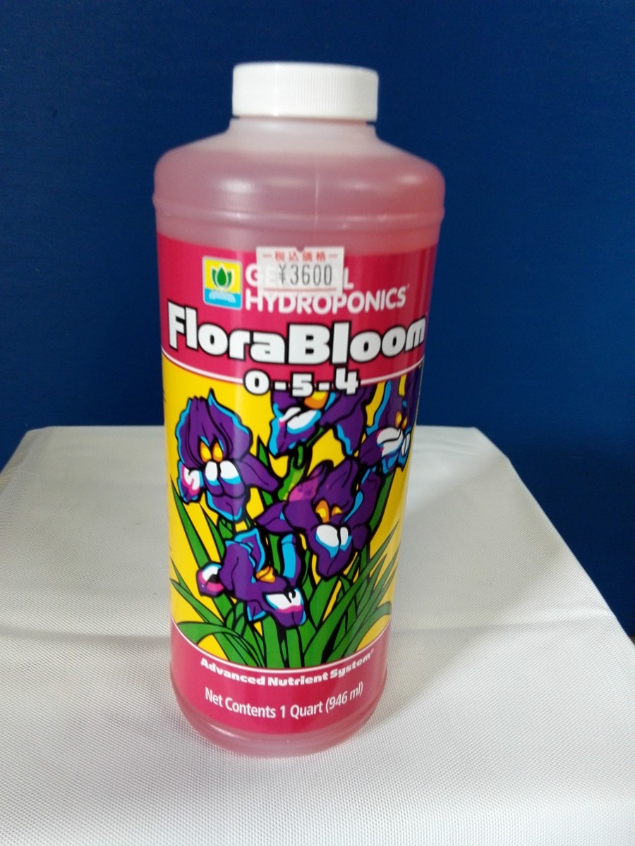 GH Flora.Bloom.0-5-4